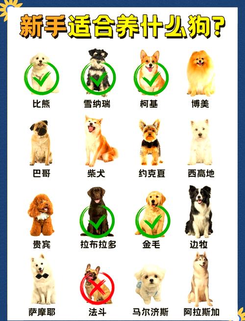 属相狗的人买房时哪几层楼更符合我的命格呢？