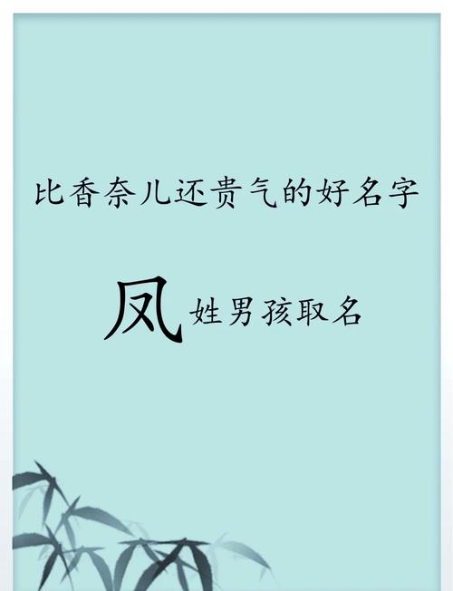 凤姓男孩起一个优美名字，有没有什么既文雅又富有内涵的名字推荐？