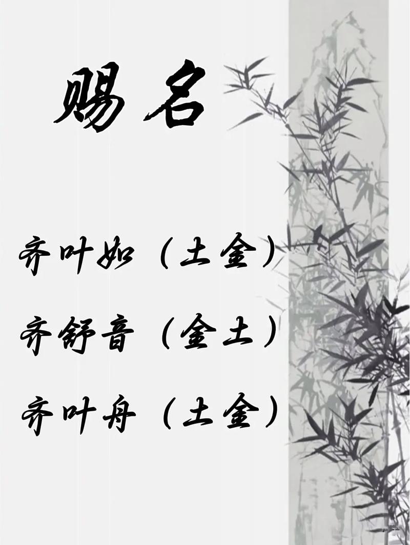 齐姓女宝宝取名时有哪些既优美又大方的名字可以选择呢？