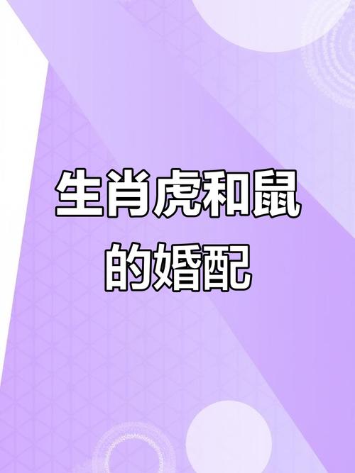 属虎的和属鼠的合不合，是命中注定的缘分吗？