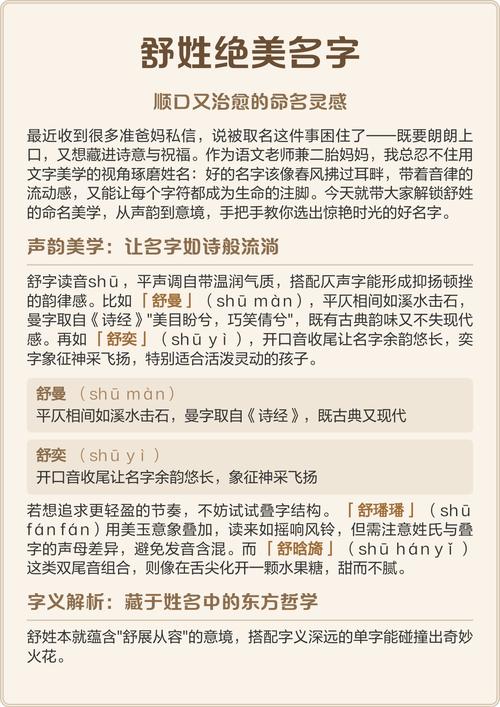 舒姓朗朗上口的男孩名字是什么？有没有什么好听的推荐？
