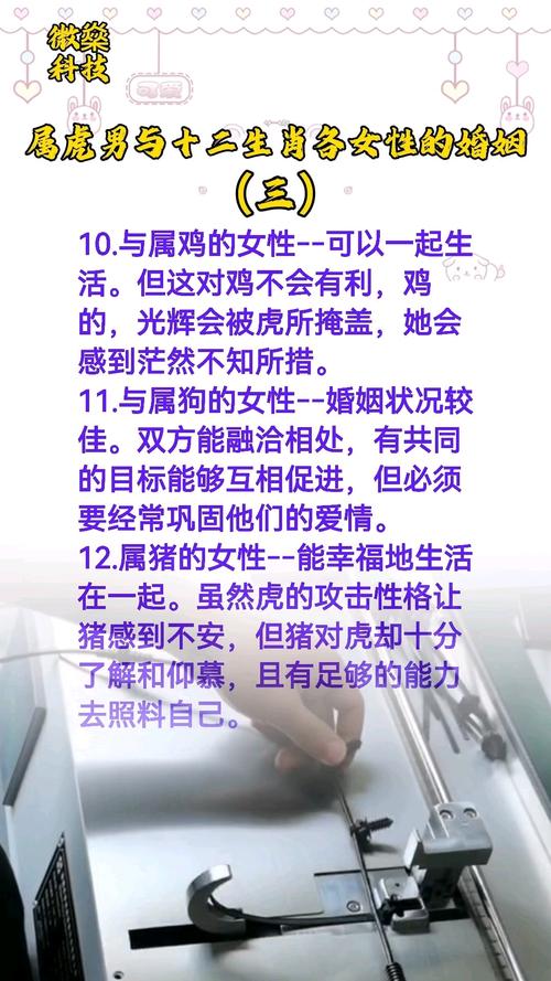 属虎和属鸡结婚在一起会有哪些忒别的婚姻运势？