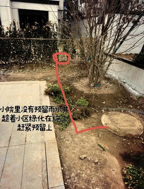 院外挖井的风水讲究有哪些具体注意事项？