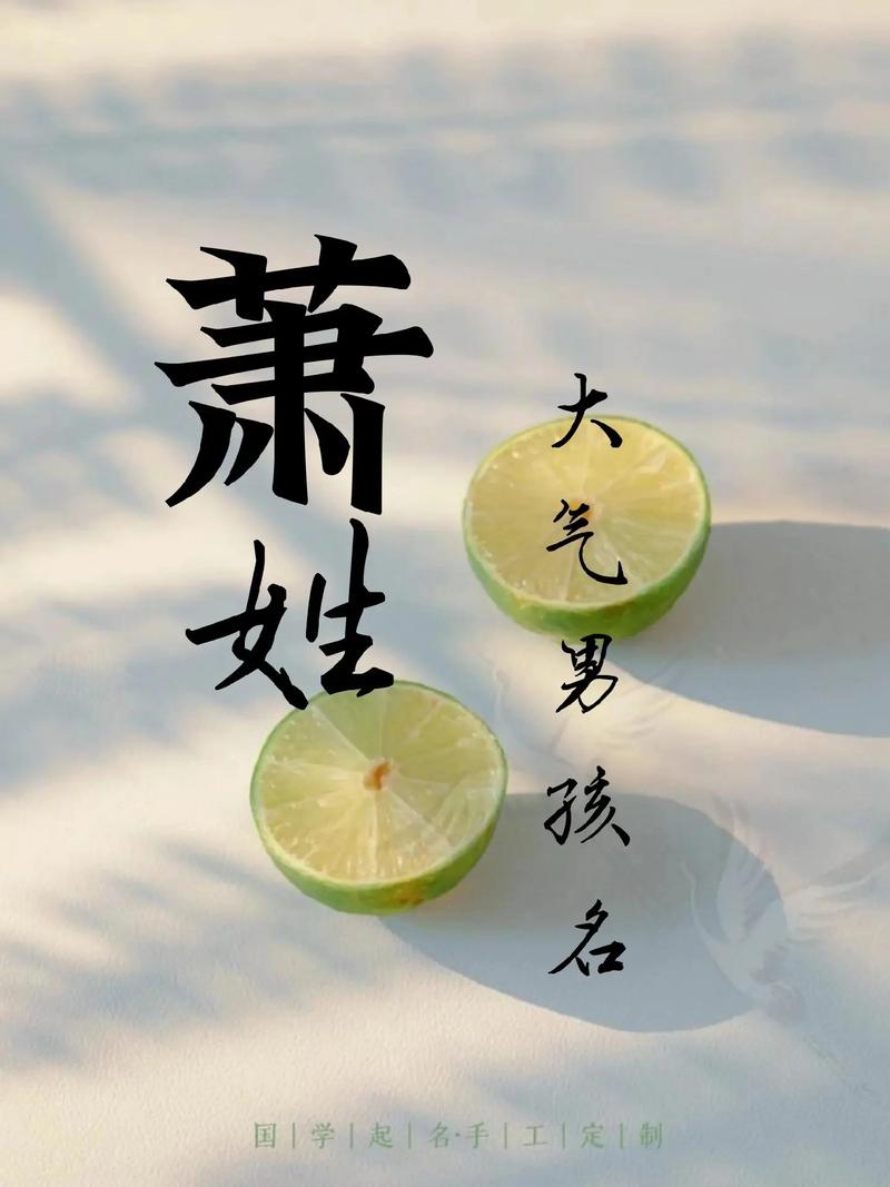 萧姓男孩名字中，有没有一个既冷门又独特的名字，让人过目难忘呢？