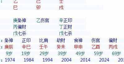 八字特殊格局假从儿格