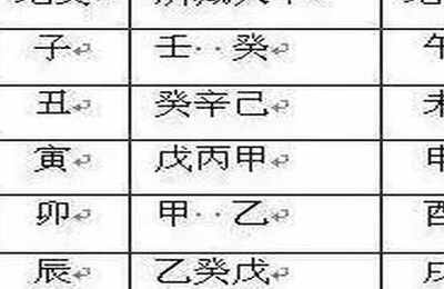 丁酉癸丑丙辰癸巳八字
