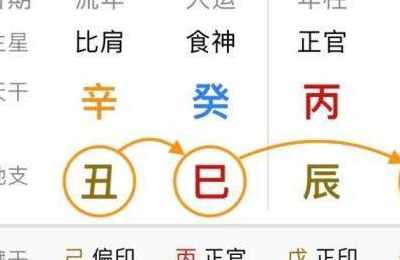 八字丙火生于亥月