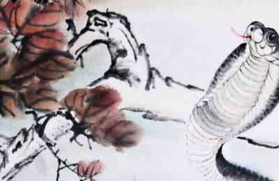 属蛇的和属猴的八字好不好
