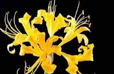 1573975319189637.jpg 2.jpg