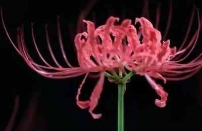 1573975328434238.jpg 3.jpg