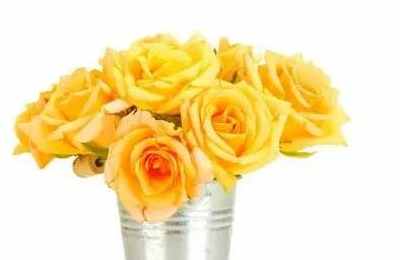 1573975097259027.jpg 02.jpg