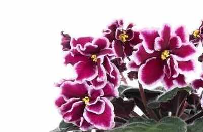 1573975102832395.jpg 03.jpg