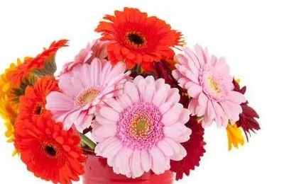 1573975107472806.jpg 04.jpg