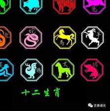 六冲属相八字配对(属相六冲的人 能做夫妻吗)