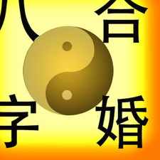 两个人八字合局(怎么算两个人的生辰八字合不合)