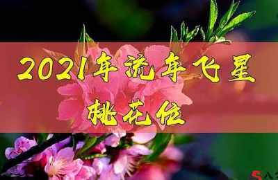 【2021年流年飞星桃花位】
