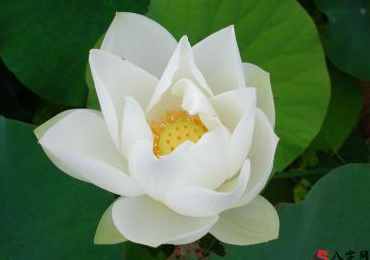 针对这一中华传统文化玄空风水，想对你说二点