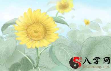 面相知识 虚伪至极的人面相特征