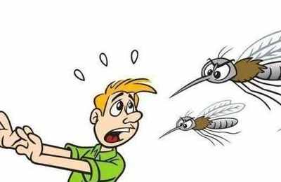 梦见蚊子咬人