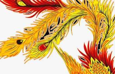 梦见天上有金色凤凰