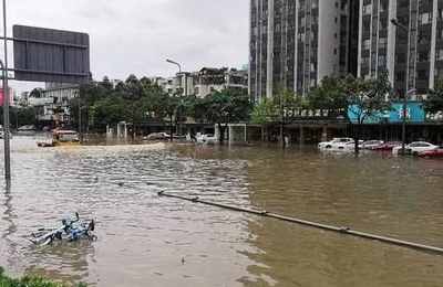 梦见下雨打架