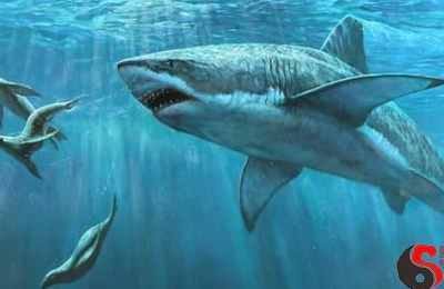 梦见泡在水中走路