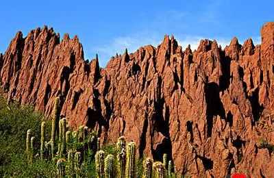 梦见提前准备去旅游