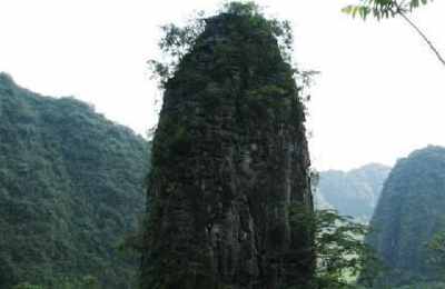 梦见山上