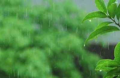 梦见外面有小雨