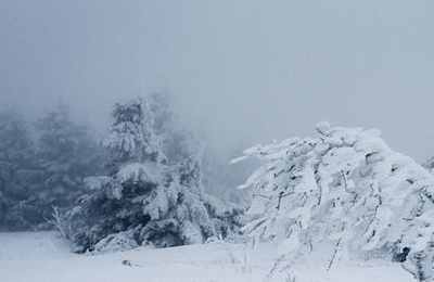 梦见暴风雪