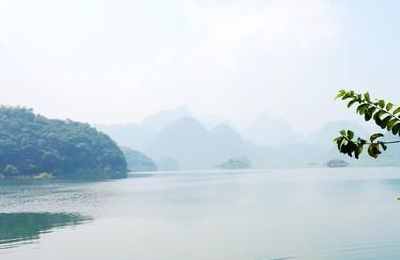 梦见看风景