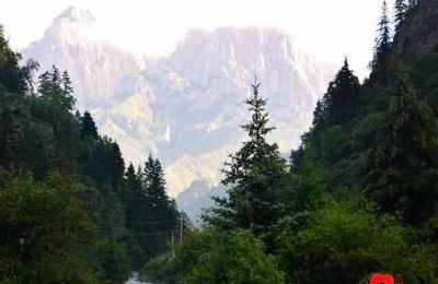 梦见发大水往山上跑