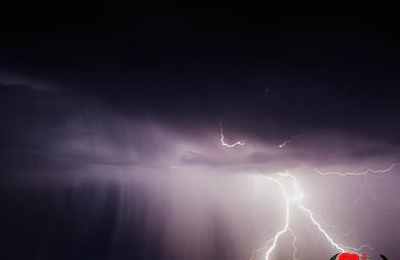 梦见雷劈树