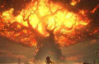 梦见大树被大火烧了