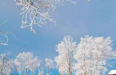 梦见满地都是雪